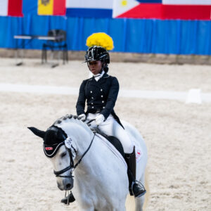 CDI Wroclaw 2023 - autumn