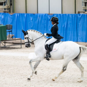 CDI Wroclaw 2023 - autumn