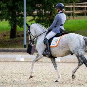 CDI Troisdorf 2023 - autumn
