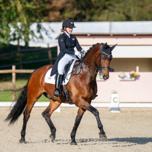 CDI Troisdorf 2023 - autumn