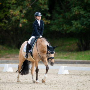 CDI Troisdorf 2023 - autumn
