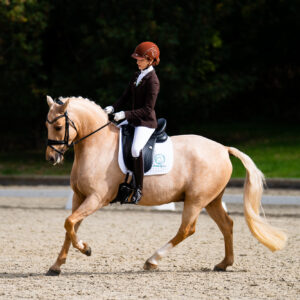 CDI Troisdorf 2023 - autumn