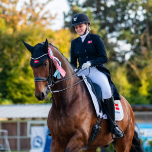 CDI Troisdorf 2023 - autumn