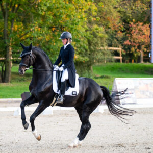 CDI Troisdorf 2023 - autumn