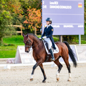 CDI Troisdorf 2023 - autumn