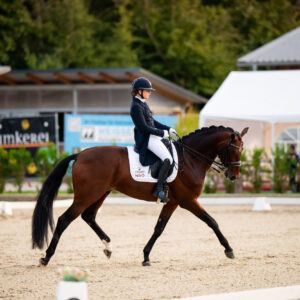 CDI Troisdorf 2023 - autumn