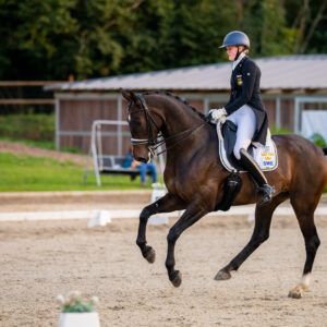 CDI Troisdorf 2023 - autumn