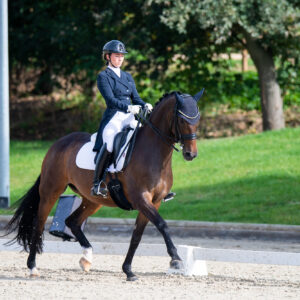 CDI Troisdorf 2023 - autumn