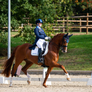 CDI Troisdorf 2023 - autumn