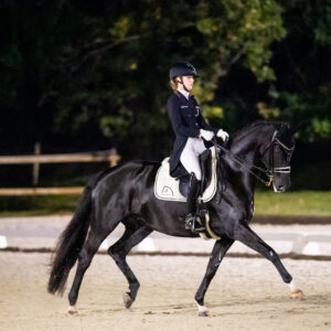 CDI Troisdorf 2023 - autumn