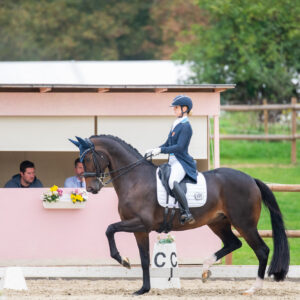 CDI Troisdorf 2023 - autumn