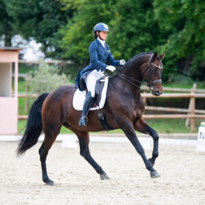 CDI Troisdorf 2023 - autumn