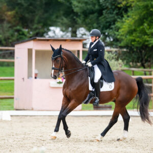 CDI Troisdorf 2023 - autumn