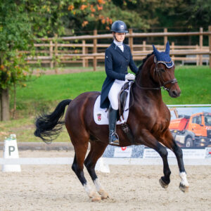 CDI Troisdorf 2023 - autumn