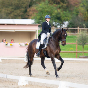 CDI Troisdorf 2023 - autumn