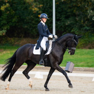 CDI Troisdorf 2023 - autumn