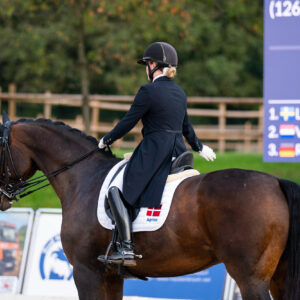 CDI Troisdorf 2023 - autumn