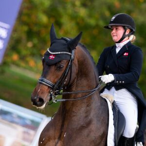 CDI Troisdorf 2023 - autumn