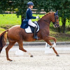 CDI Troisdorf 2023 - autumn