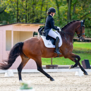 CDI Troisdorf 2023 - autumn