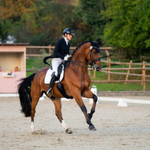 CDI Troisdorf 2023 - autumn