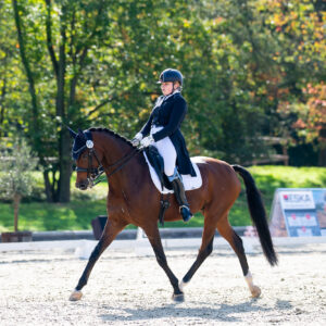 CDI Troisdorf 2023 - autumn