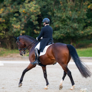 CDI Troisdorf 2023 - autumn
