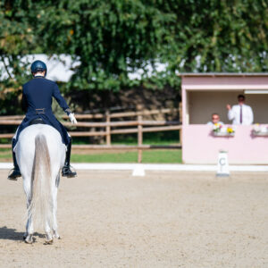 CDI Troisdorf 2023 - autumn