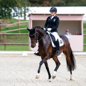 CDI Troisdorf 2023 - autumn