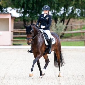 CDI Troisdorf 2023 - autumn