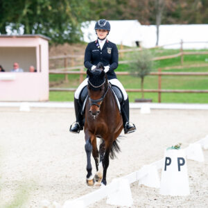 CDI Troisdorf 2023 - autumn