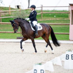 CDI Troisdorf 2023 - autumn