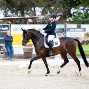 CDI Troisdorf 2023 - autumn