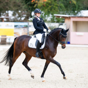 CDI Troisdorf 2023 - autumn