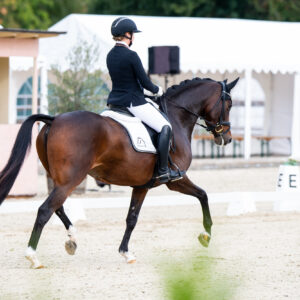 CDI Troisdorf 2023 - autumn