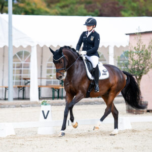 CDI Troisdorf 2023 - autumn