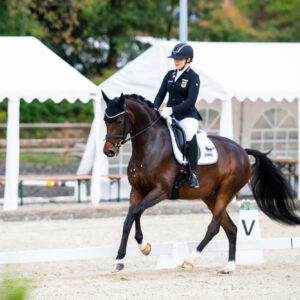 CDI Troisdorf 2023 - autumn