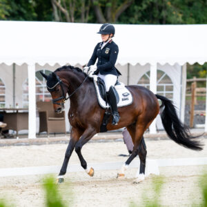 CDI Troisdorf 2023 - autumn