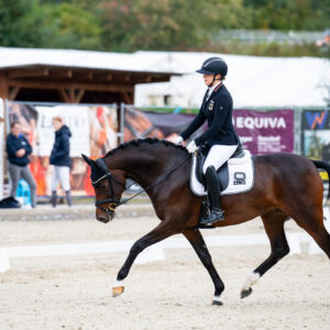 CDI Troisdorf 2023 - autumn
