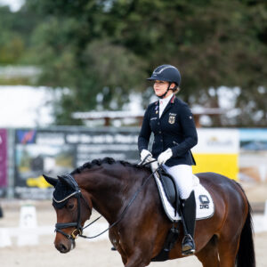 CDI Troisdorf 2023 - autumn