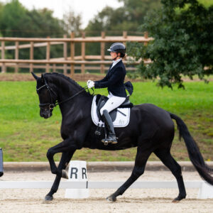 CDI Troisdorf 2023 - autumn