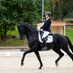 CDI Troisdorf 2023 - autumn
