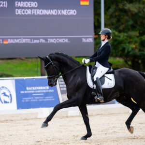 CDI Troisdorf 2023 - autumn