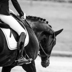 CDI Troisdorf 2023 - autumn