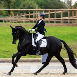 CDI Troisdorf 2023 - autumn