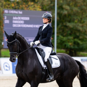 CDI Troisdorf 2023 - autumn