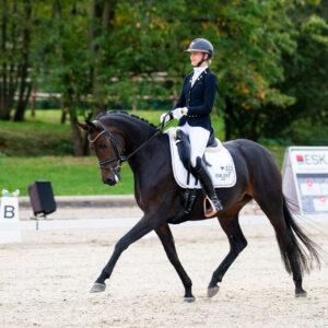 CDI Troisdorf 2023 - autumn