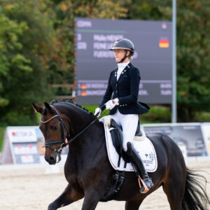 CDI Troisdorf 2023 - autumn
