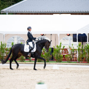 CDI Troisdorf 2023 - autumn