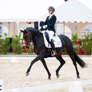 CDI Troisdorf 2023 - autumn